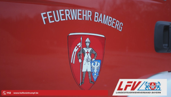 LFV und Wappen